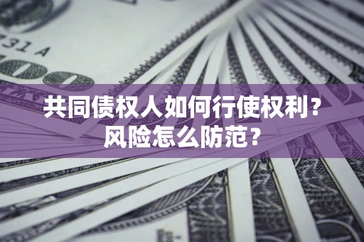 北京共同债权人如何行使权利？风险怎么防范？