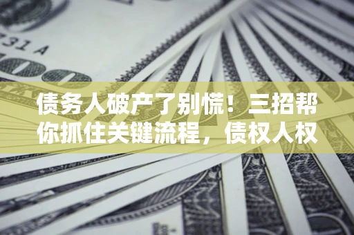 北京债务人破产了别慌！三招帮你抓住关键流程，债权人权益不再缩水